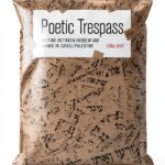 Princeton University Press Kindle Book Literary Criticism-0