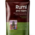 SkyLight Illuminations Sufism Book English Edition Kindle-0