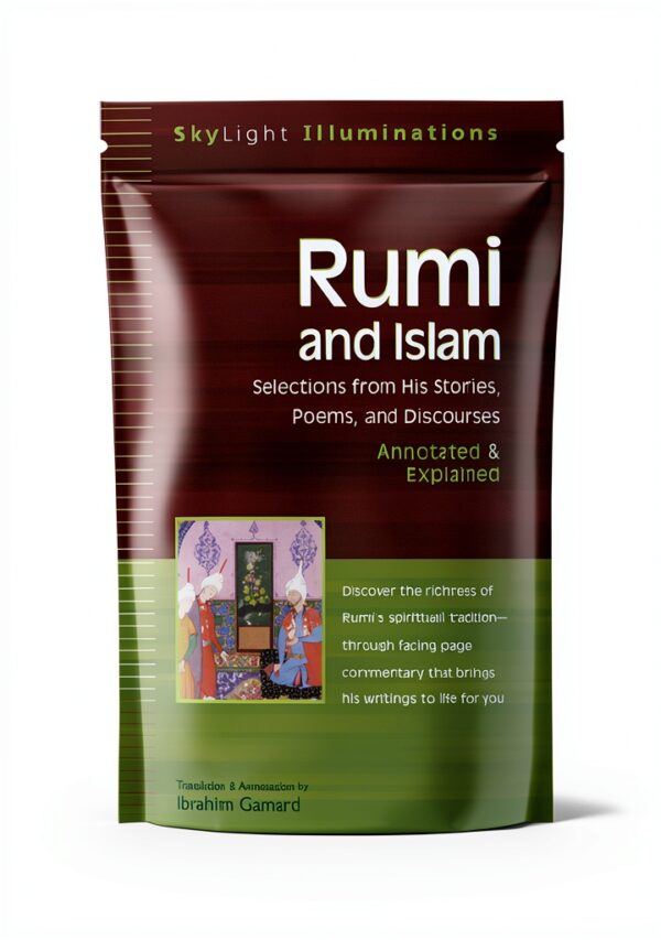 SkyLight Illuminations Sufism Book English Edition Kindle-0