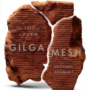 Princeton University Press Literary Criticism Kindle eBook-0