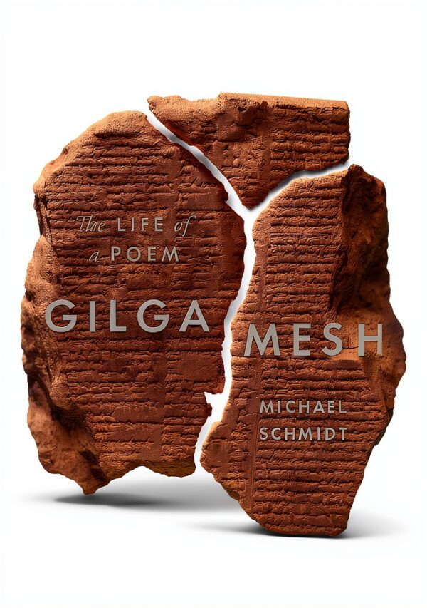 Princeton University Press Literary Criticism Kindle eBook-0